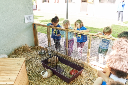 100 acre wood creche