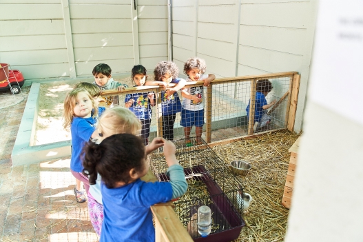 100 acre wood creche