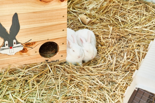100 acre wood creche